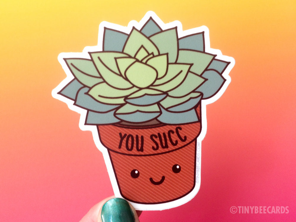 Funny Succulent Vinyl Sticker "You Succ"