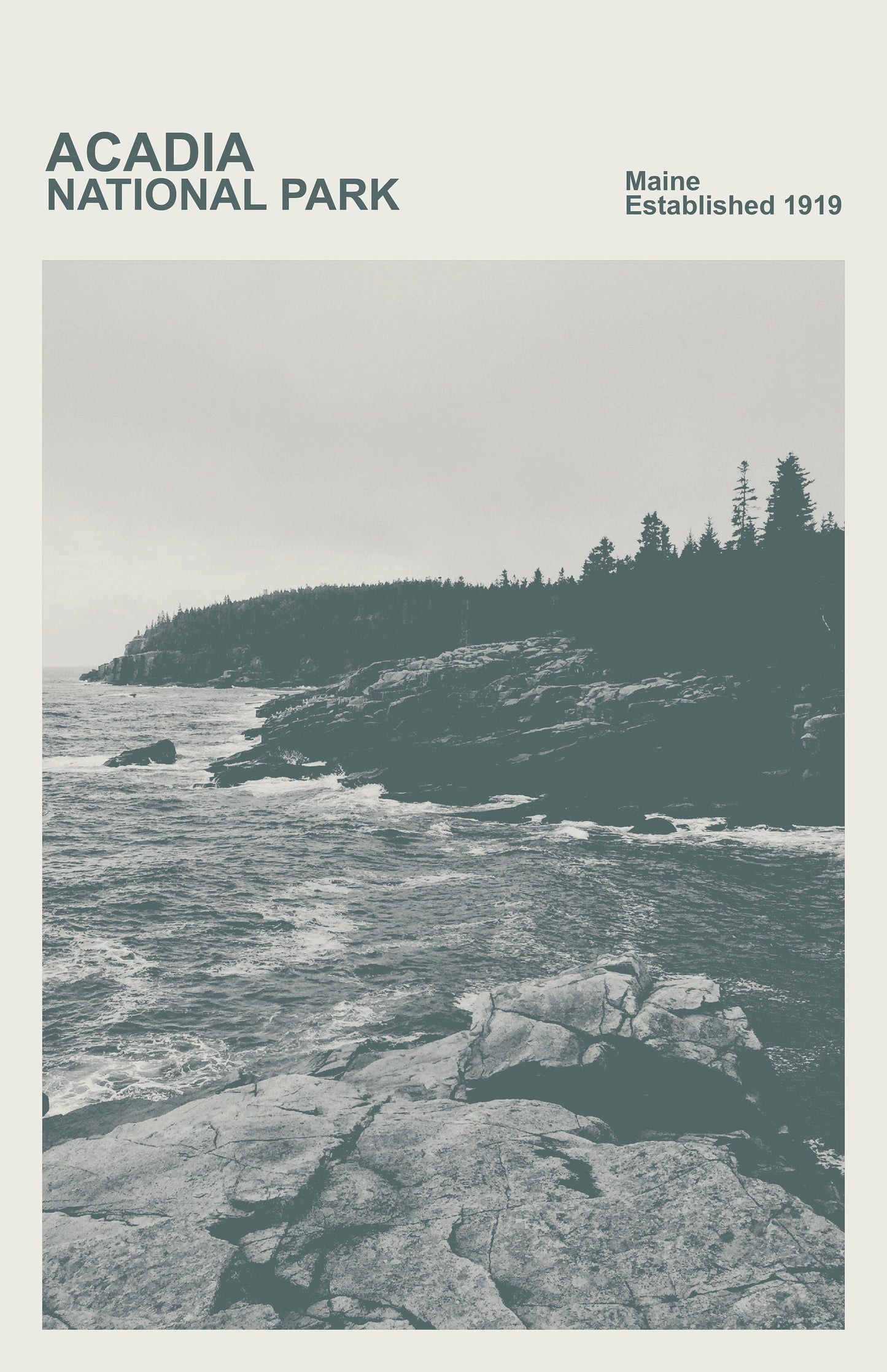 Acadia National Park Print, Monochrome