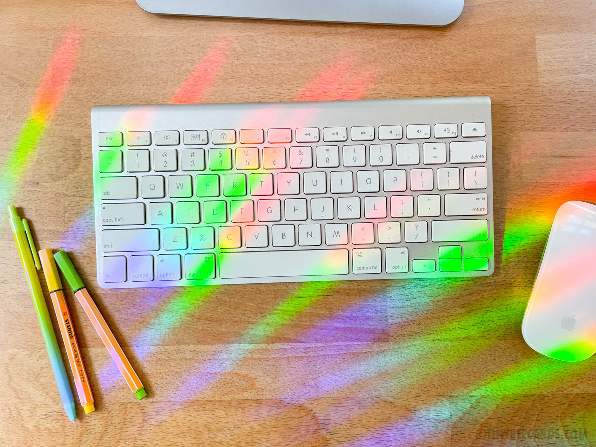 Protect our Pollinators Bug Lover Suncatcher Decal