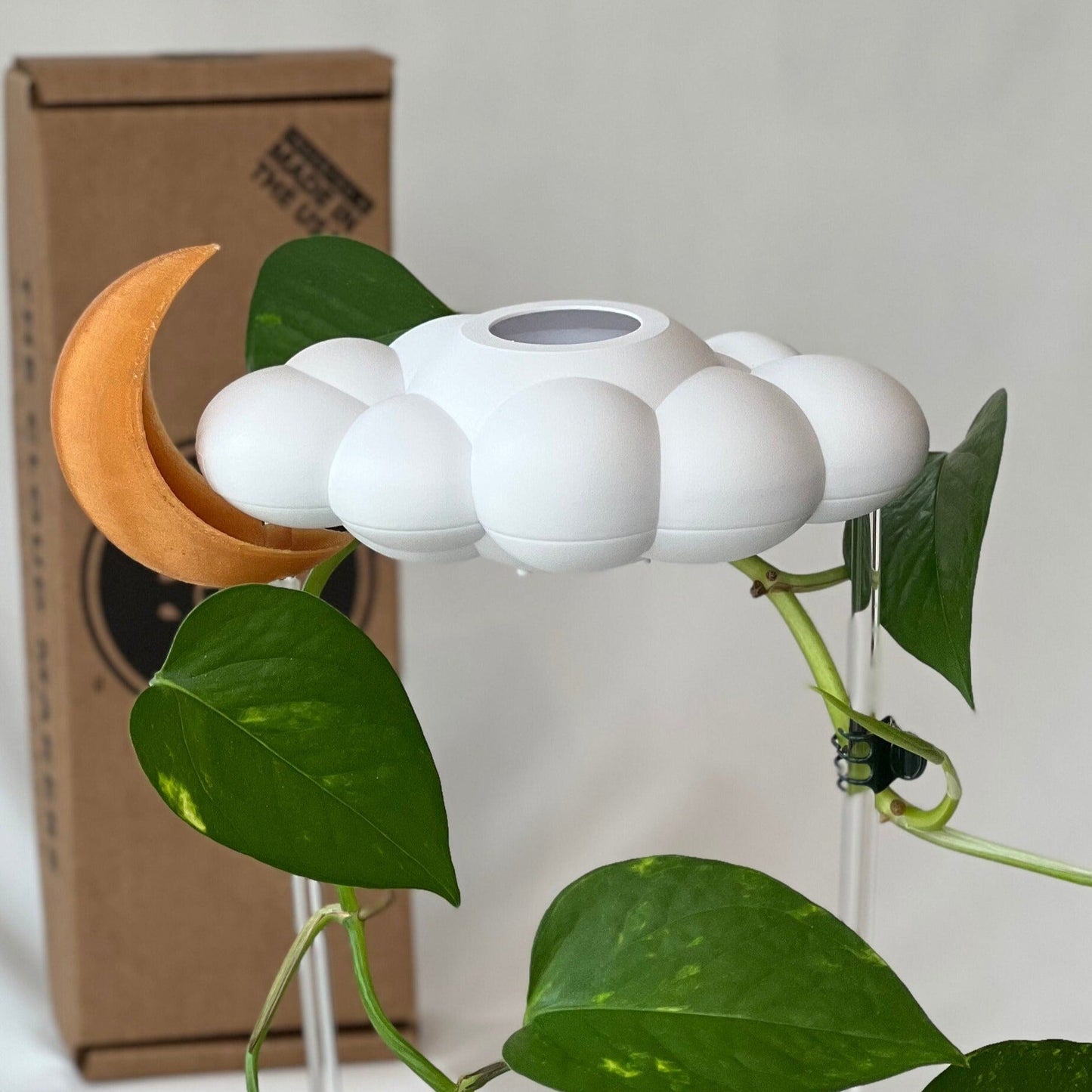 Original Dripping Rain Cloud with Moon Charm