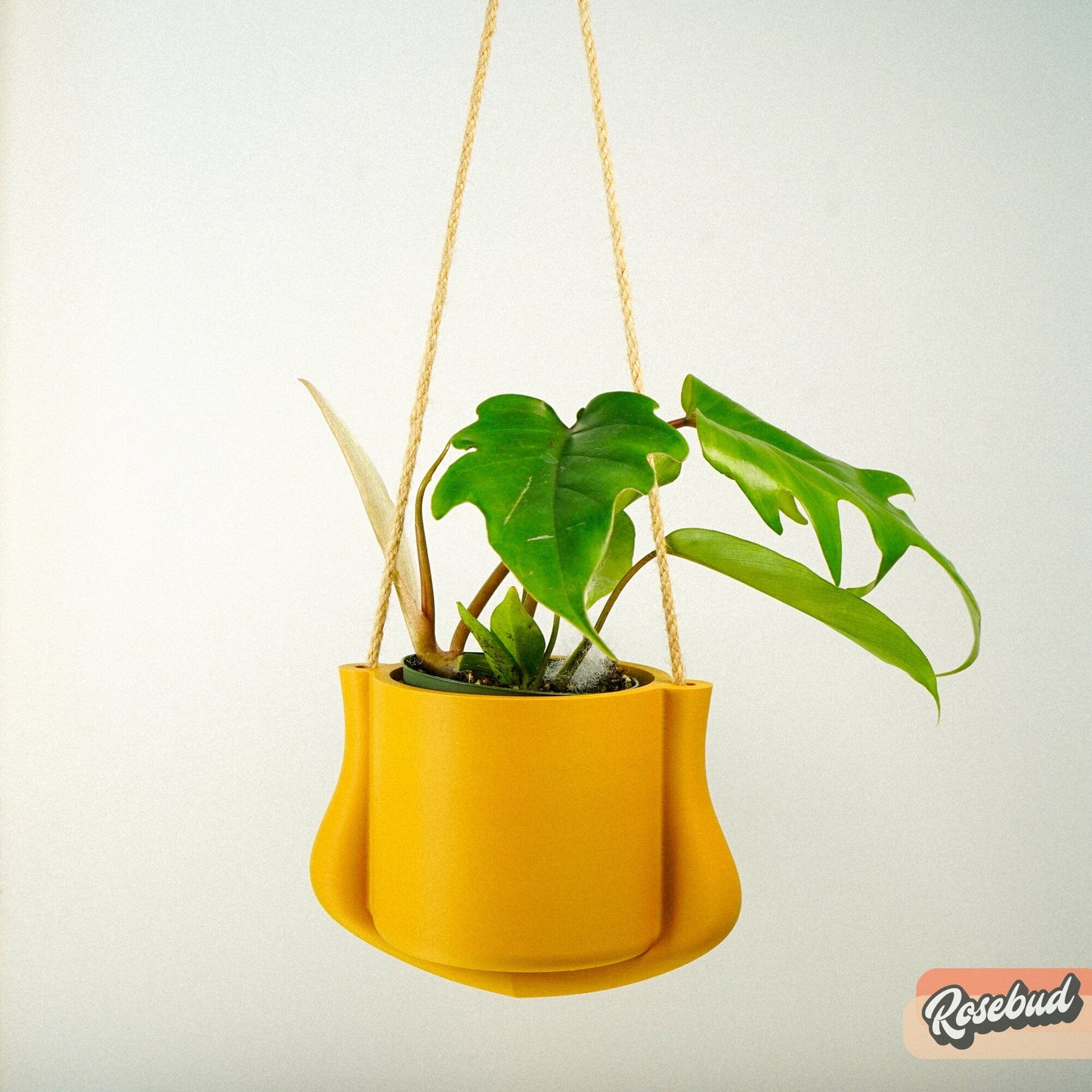 Hanging Planter - The Elysian