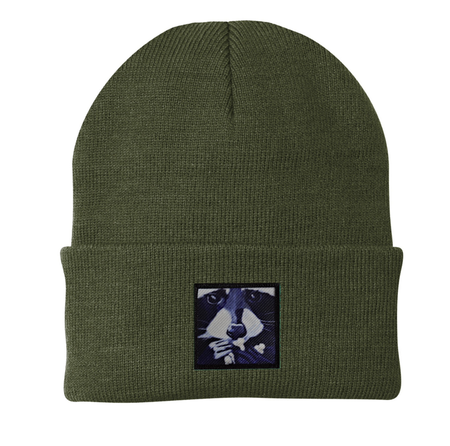 Raccoon Pop Beanie