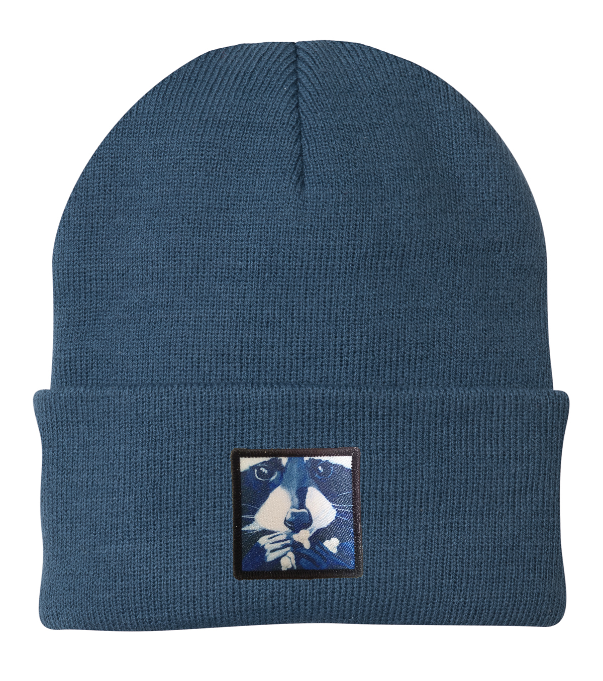 Raccoon Pop Beanie