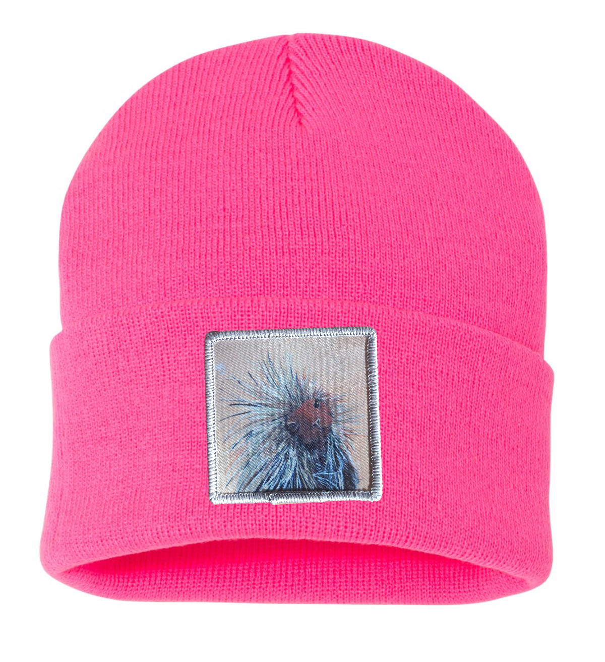 Porcupine Beanie