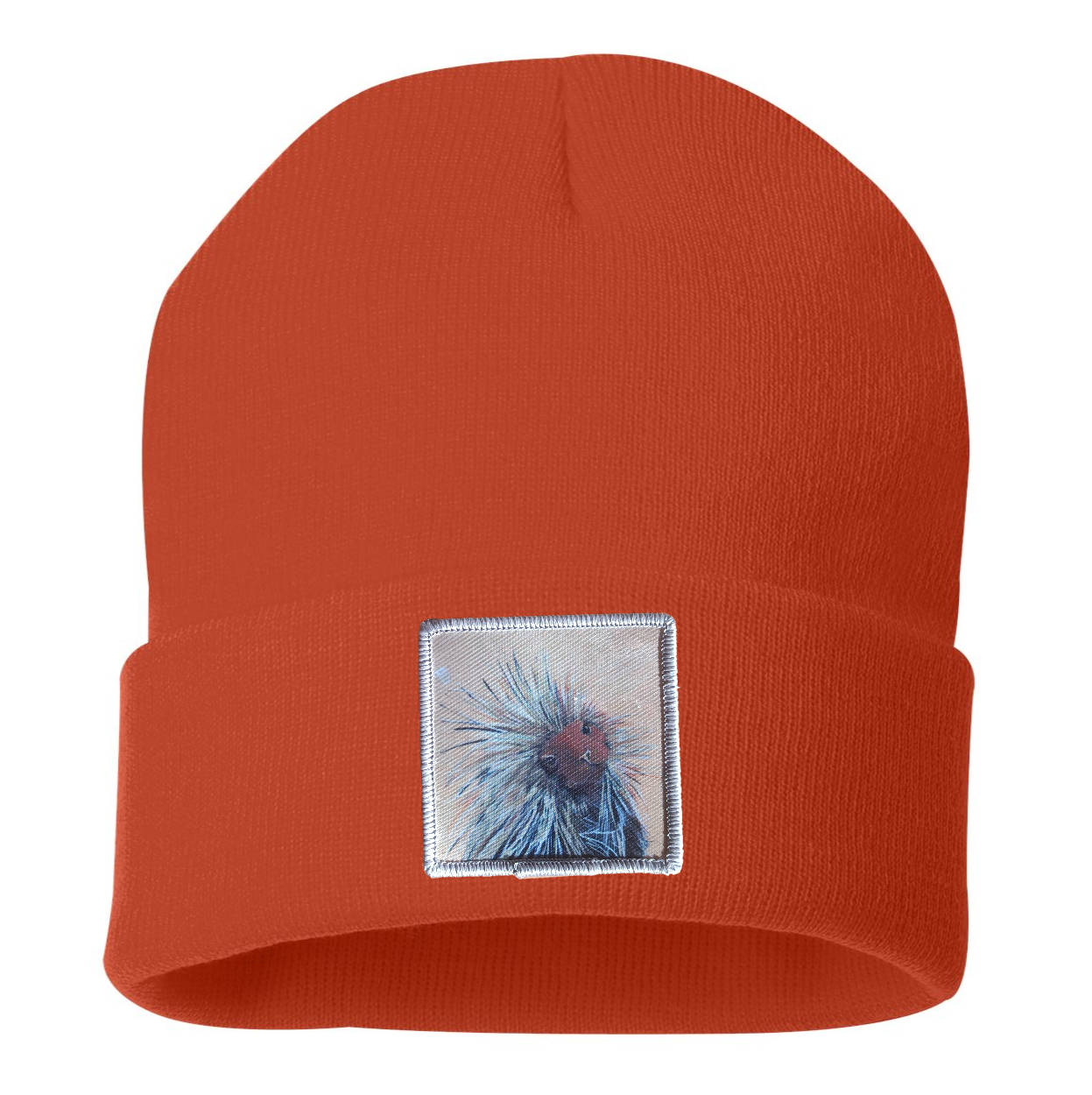 Porcupine Beanie