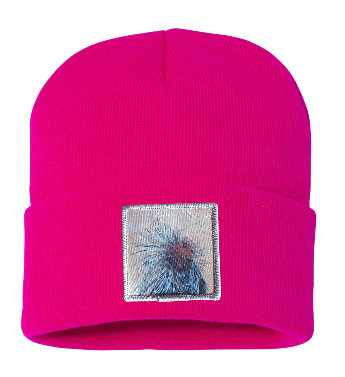 Porcupine Beanie