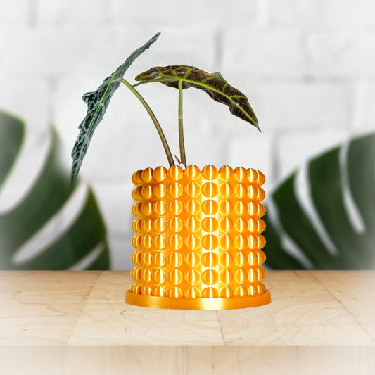Ring of Pearls Planter Pot