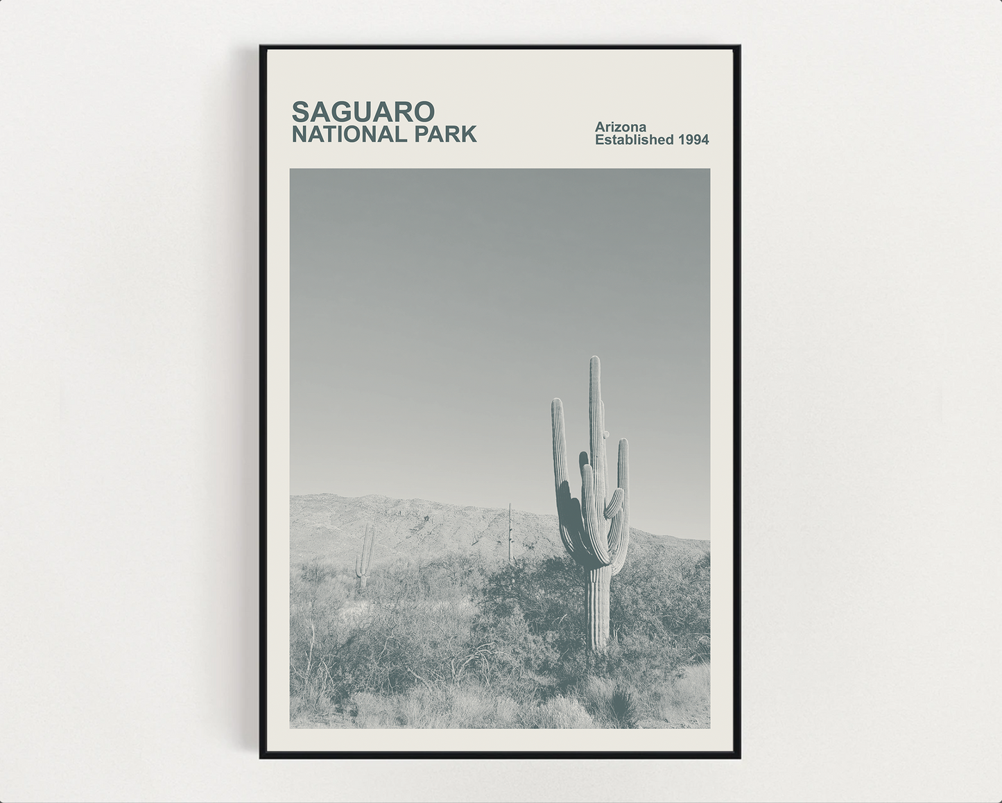 Saguaro National Park Print, Monochrome