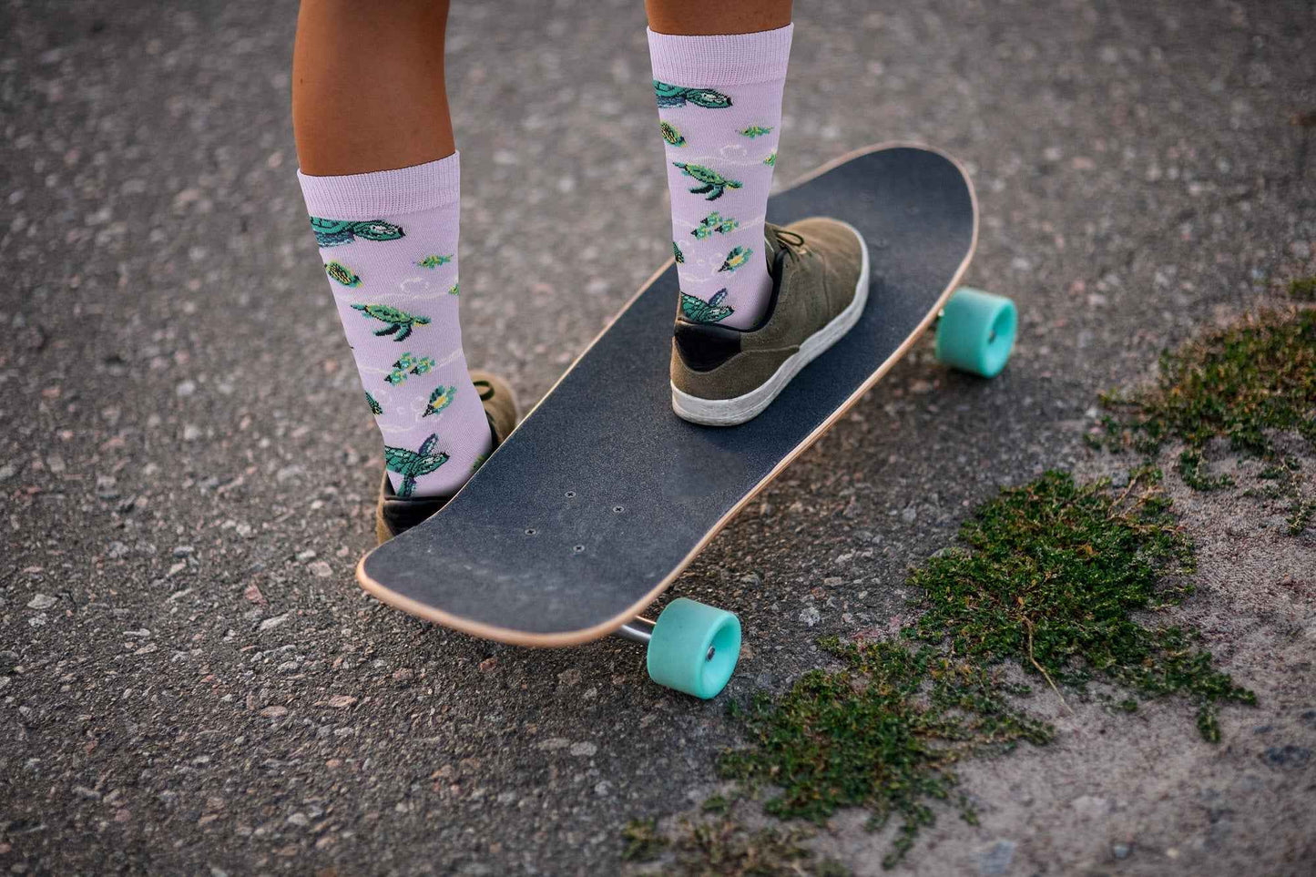 Sick Socks - Turtle - Animal Socks