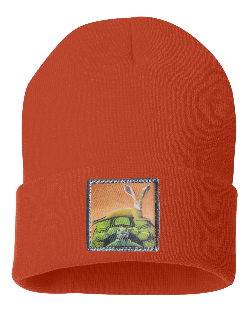 The Tortoise By a Hare Beanie