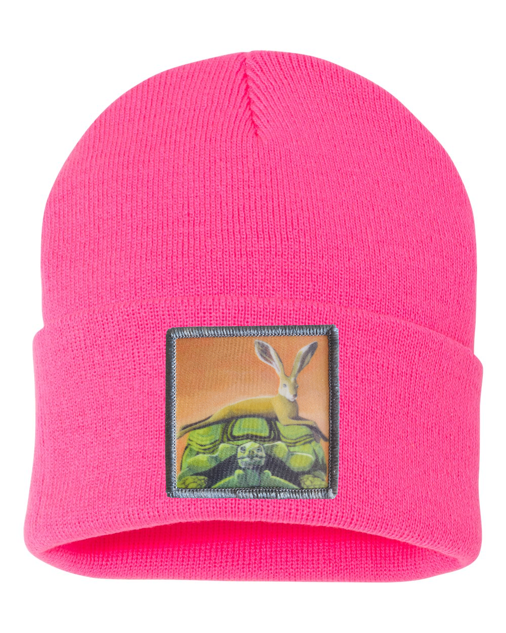 The Tortoise By a Hare Beanie